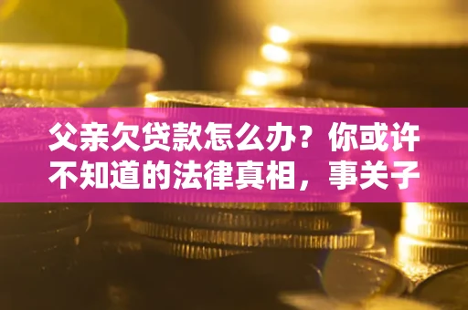武汉父亲欠贷款怎么办？你或许不知道的法律真相，事关子女未来