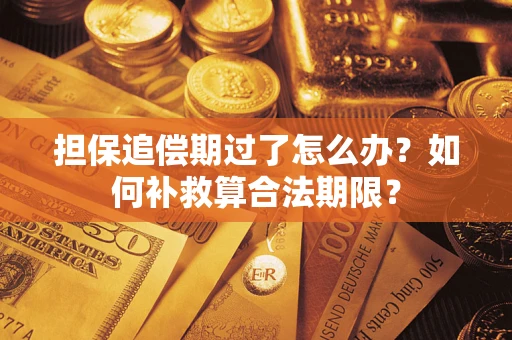 武汉担保追偿期过了怎么办？如何补救算合法期限？