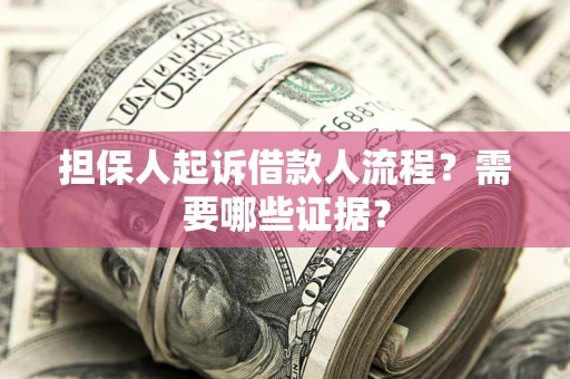 武汉担保人起诉借款人流程？需要哪些证据？