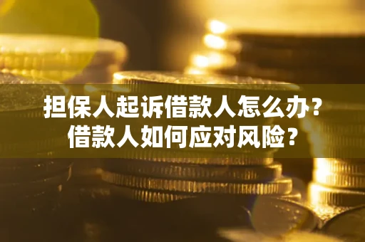 武汉担保人起诉借款人怎么办？借款人如何应对风险？
